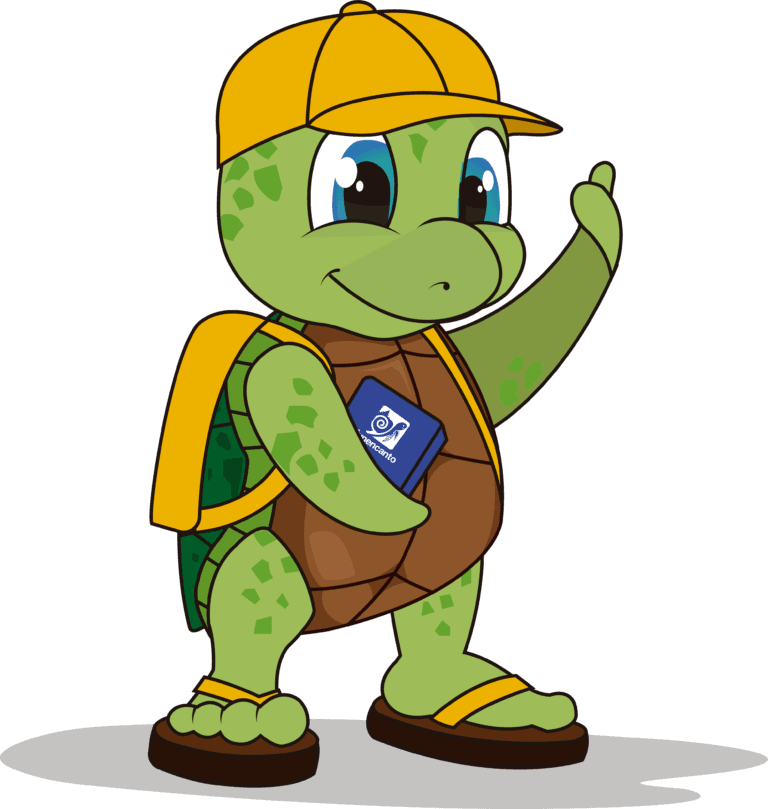 tortuga mascota de funencanto