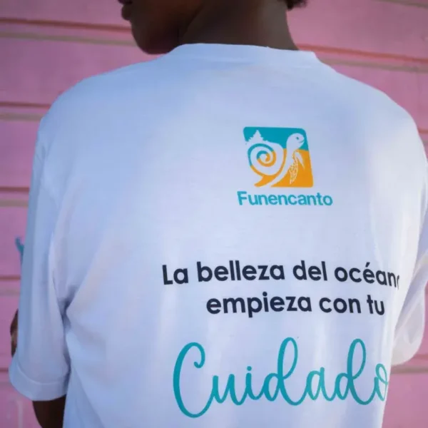 Camisetas Caballito - Imagen 2